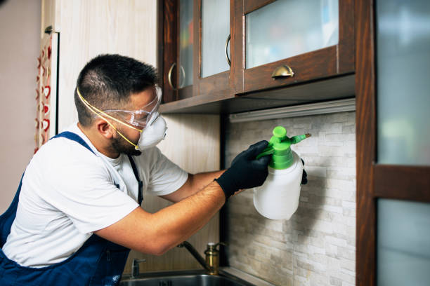 Professional Pest Control in New Cordell, OK