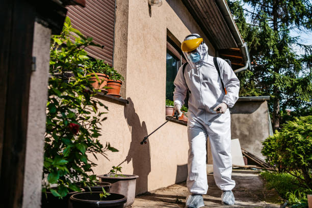 Pest Prevention Services in New Cordell, OK