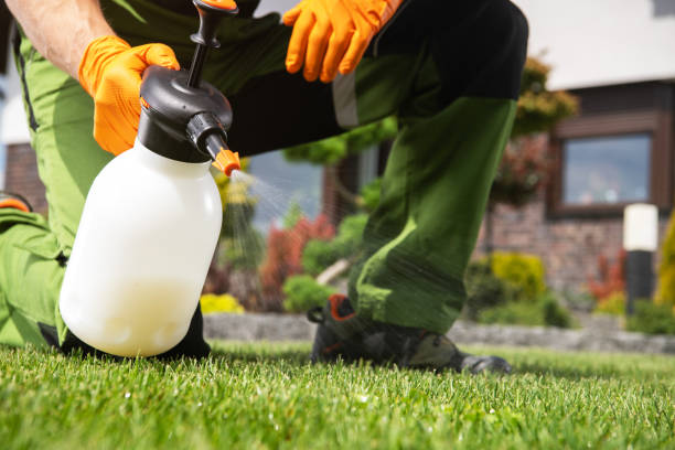 Best Rat Extermination Near Me  in New Cordell, OK