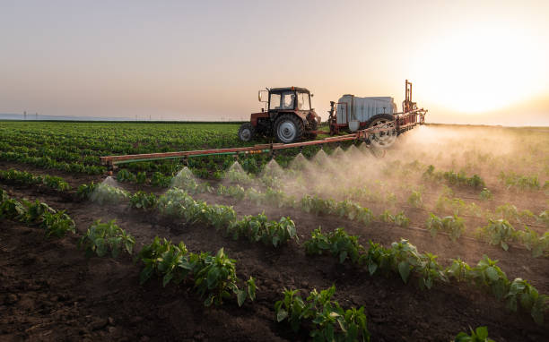 Best Pest Prevention Services  in New Cordell, OK