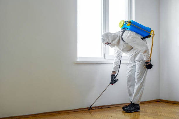 Best Affordable Pest Control Services  in New Cordell, OK
