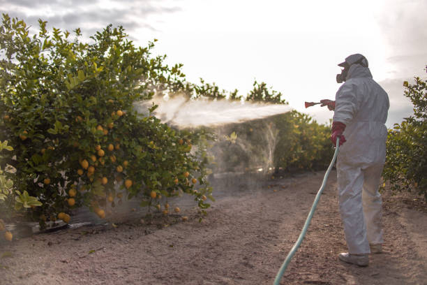 Best Pest Inspection Near Me  in New Cordell, OK