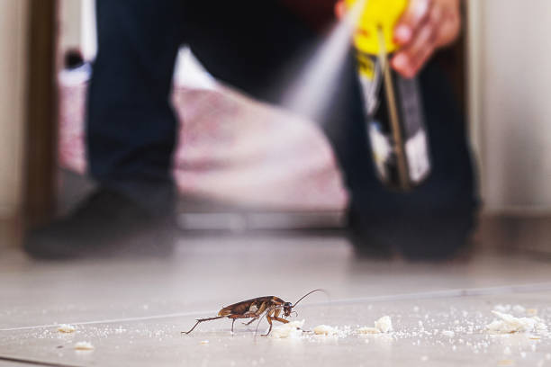 Best Mosquito Control Services  in New Cordell, OK