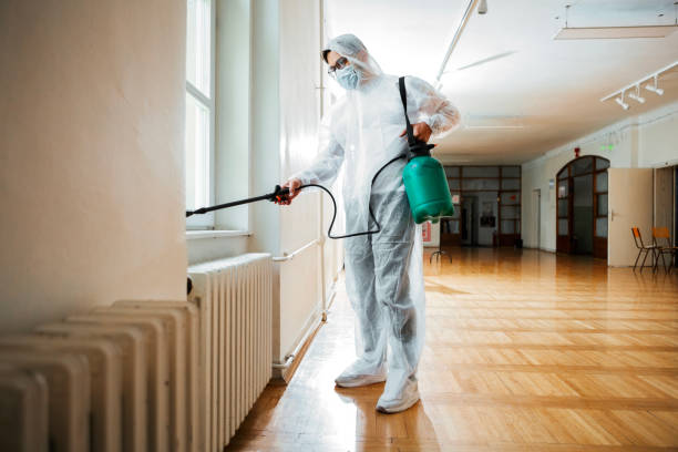 Best Wasp Removal Services  in New Cordell, OK