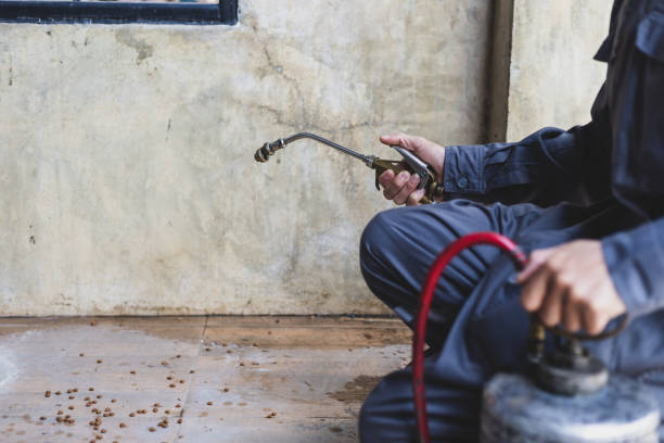 Best Best Pest Control Companies  in New Cordell, OK